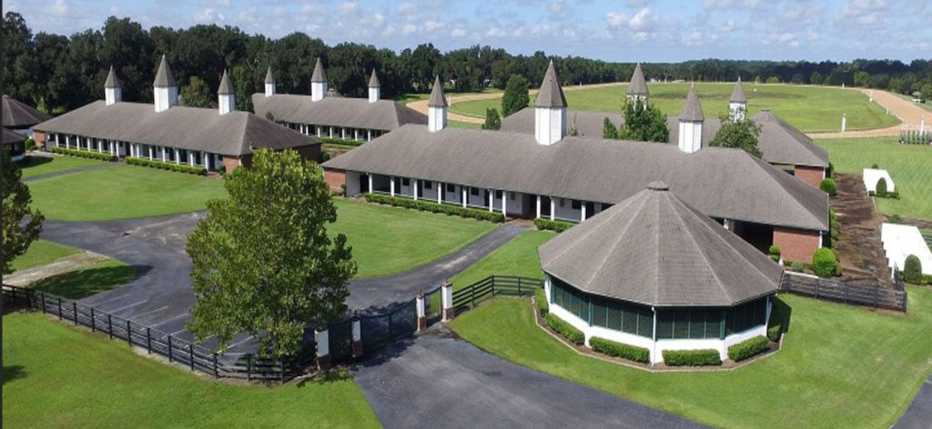 Silverleaf-Barns-Walking-Ring1218x562