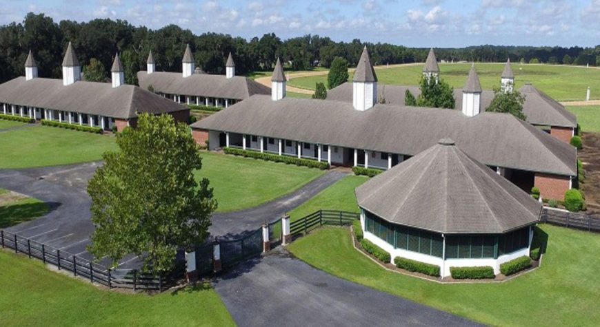 Silverleaf-Barns-Walking-Ring1218x562
