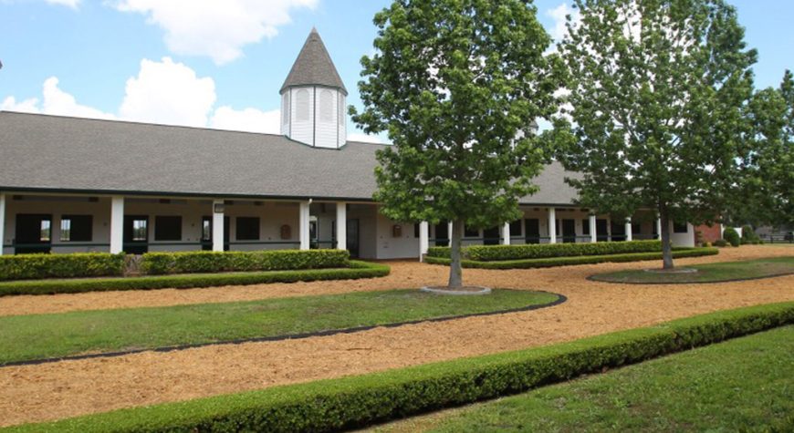 Silverleaf-Paddock-Walking-Rings1218562