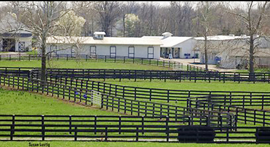 Magdalena-Farm-Paddocks