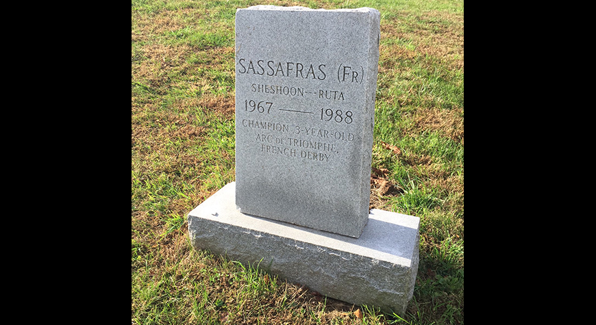 Sassafras-Head-Stone
